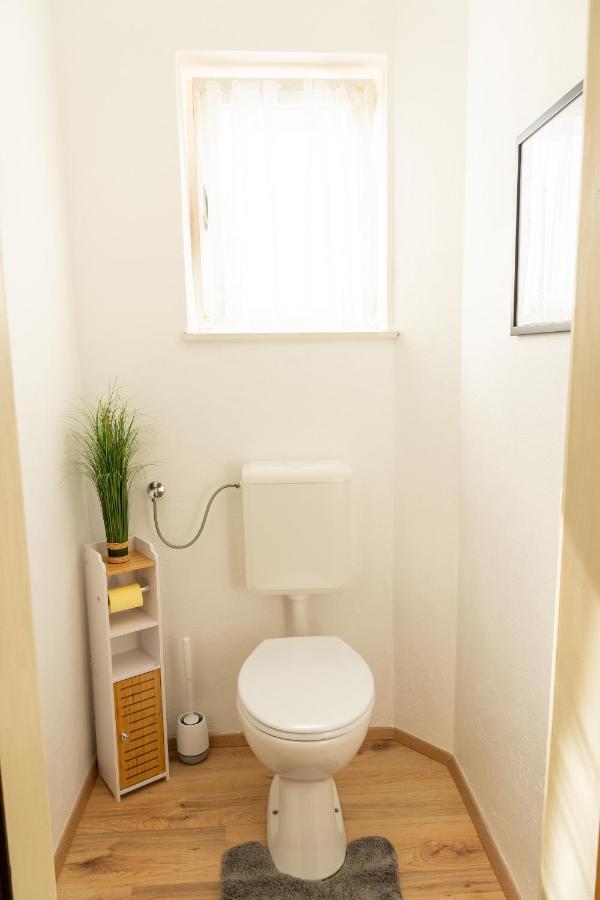 Knollgut Ferienwohnung Buchberg Goldegg Dış mekan fotoğraf